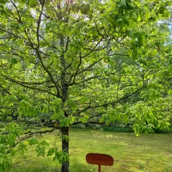 Daugava River Fishing Spots - Jekabpils