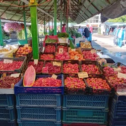 Jelgava Market - Jelgava