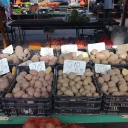 Jelgava Market - Jelgava