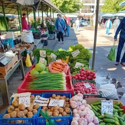 Jelgava Market - Jelgava