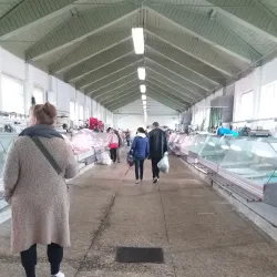 Jelgava Market - Jelgava