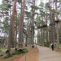 Dzintari Forest Park - Jurmala