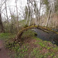 Abava River - Kandava