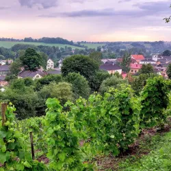 Abava Valley Regional Park - Kandava