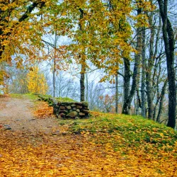 Kandava Castle Mound - Kandava