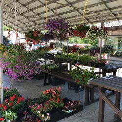 Kandava Market - Kandava