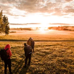 Kandava Market - Kandava