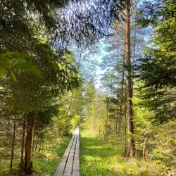 Kandava Nature Trails - Kandava