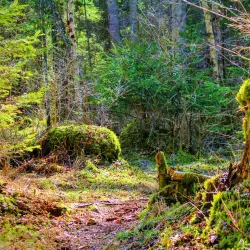 Kandava Nature Trails - Kandava