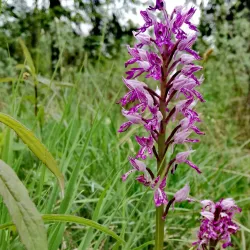 Kandava Nature Trails - Kandava