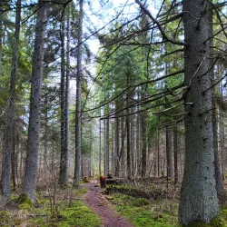 Kandava Nature Trails - Kandava