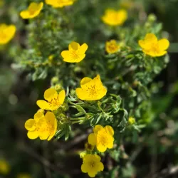 Kandava Nature Trails - Kandava