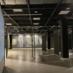 Local Art Galleries - Kraslava