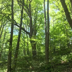 Nature Trails around Kraslava - Kraslava