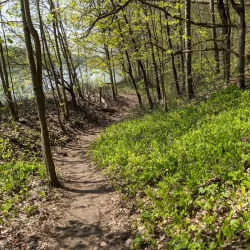 Nature Trails around Kraslava - Kraslava
