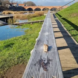 Venta Rapid (Ventas Rumba) - Kuldiga