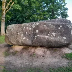 Lielvarde Castle Ruins - Lielvarde