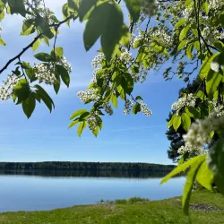 Lielvarde Park - Lielvarde