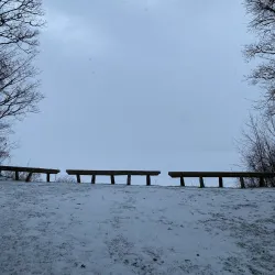 Lielvarde Park - Lielvarde