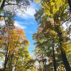 Lielvarde Park - Lielvarde