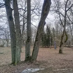 Lielvarde Park - Lielvarde