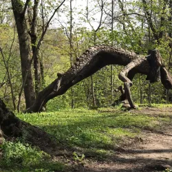 Lielvarde War Memorial - Lielvarde