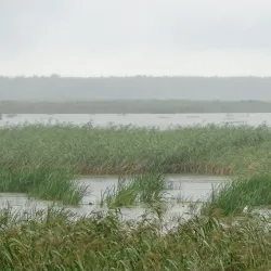 Lake Lubāns - Madona