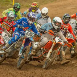 Madona Central Park - Madona