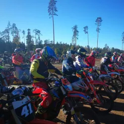 Madona Central Park - Madona