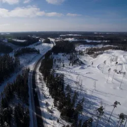 Madona Central Park - Madona