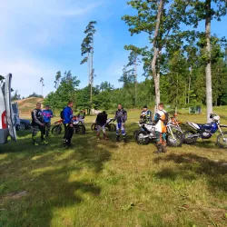 Madona Central Park - Madona