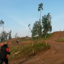 Madona Central Park - Madona