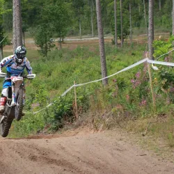 Madona Central Park - Madona