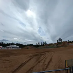 Madona Central Park - Madona