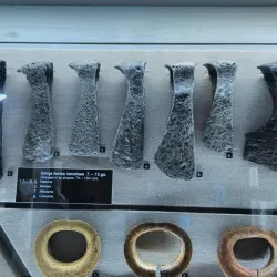 Madona Museum - Madona