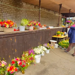 Ogre Central Market - Ogre