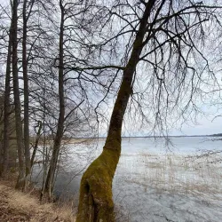 Lake Rāzna - Rezekne