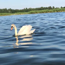 Lake Rāzna - Rezekne