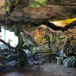 Latgale Zoo - Rezekne