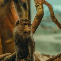 Latgale Zoo - Rezekne