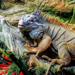 Latgale Zoo - Rezekne