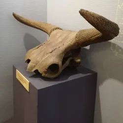 Rezekne Culture Palace - Rezekne