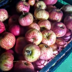 Rezekne Market - Rezekne