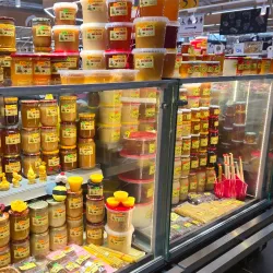 Central Market - Riga