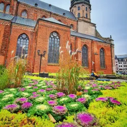 Riga Old Town (Vecrīga) - Riga