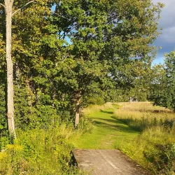 Forest Trails around Rujiena - Rujiena