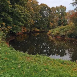 Forest Trails around Rujiena - Rujiena
