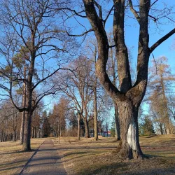 Rujiena City Park - Rujiena