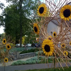 Rujiena Cultural Center - Rujiena