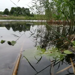 Rujiena War Memorial - Rujiena